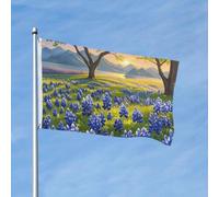Drapeau de 150 x 90 cm double face robuste pour l'extérieur avec œillets - Drapeau de paysage du Texas Bluebonnets pour l'extérieur du printemps et de l'été - Drapeau de jardin pour cour et décoration
