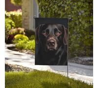 Drapeau de 71 x 40 cm - Décoration de jardin - Bannière robuste - Drapeau de laboratoire noir - Bannière de cour en polyester 200D avec 2 œillets - Bannière d'extérieur pour les vacances en toutes