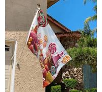 Drapeau de 9,1 x 0,6 m résistant à la décoloration pour l'extérieur - Bannière décorative pour extérieur - Toile de fond pour jardin - Drapeau mural double face avec œillets en laiton - Toile de fond