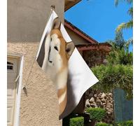 Drapeau de 9,1 x 6,1 cm résistant à la décoloration pour l'extérieur - Bannière décorative Akita - Drapeau de jardin double face avec œillets en laiton - Toile de fond amusante pour pelouse, porche