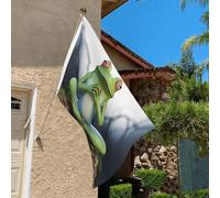 Drapeau de 9,1 x 6,1 cm résistant à la décoloration pour l'extérieur - Bannière décorative amusante pour yoga, grenouille, jardin, drapeau mural double face avec œillets en laiton - Toile de fond