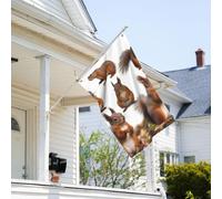 Drapeau de 9,1 x 6,1 cm résistant à la décoloration pour l'extérieur - Bannière décorative - Écureuils mignons - Drapeaux de jardin double face avec œillets en laiton - Toile de fond amusante pour