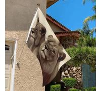 Drapeau de 9,6 x 6,1 cm résistant à la décoloration pour l'extérieur - Bannière décorative - Lion africain et lionne - Drapeau de jardin double face avec œillets en laiton - Toile de fond amusante