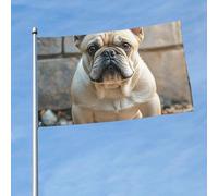 Drapeau de 90 cm x 150 cm, drapeau double face 200D, bannière lourde de bouledogue français, drapeaux de bienvenue, bannière de décoration extérieure avec œillets en laiton, drapeaux de jardin pour