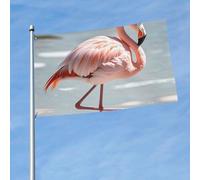 Drapeau de 90 cm x 150 cm, drapeau double face 200D, bannière lourde en forme de flamant rose, bannière de bienvenue décorative avec œillets en laiton, drapeaux de jardin pour toutes les saisons