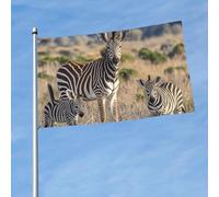 Drapeau de 90 cm x 150 cm, drapeau double face 200D lourd de l'Afrique du Sud, drapeaux de bienvenue pour décoration extérieure avec œillets en laiton, drapeaux de jardin pour toutes les saisons