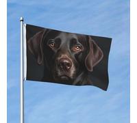 Drapeau de 90 x 150 cm - Décoration de jardin robuste - Bannière noire pour chien de laboratoire - Bannière d'extérieur avec 2 œillets - Drapeaux de bienvenue pour les vacances en toutes saisons