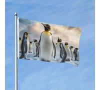 Drapeau de 90 x 150 cm - Décoration d'extérieur - Drapeau de jardin robuste - Pingouin de mer - En polyester 200D - Bannière de cour avec 2 œillets - Bannière d'intérieur et d'extérieur pour les