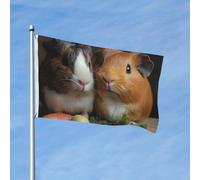 Drapeau de 90 x 150 cm - Décoration d'extérieur robuste - Drapeau de jardin - Drapeau de cochon d'Inde - En polyester 200D - Bannière de cour avec 2 œillets - Bannière d'intérieur et d'extérieur pour