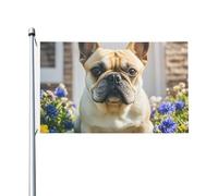 Drapeau de 90 x 152 cm double face - Bannière décorative d'extérieur - Bulldog français - Jolis drapeaux de jardin 200D lourds - Œillets en laiton - Bannière extérieure pour les vacances