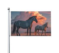 Drapeau de 90 x 152 cm double face - Bannière décorative d'extérieur - Chevaux rouges - Nuages lumineux - Drapeau 200D - Drapeaux de jardin lourds - Œillets en laiton - Bannière extérieure pour les
