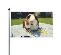 Drapeau de 90 x 152 cm double face pour décoration d'extérieur, cochons d'Inde, drapeaux de jardin lourds 200D, œillets en laiton, bannière extérieure pour les vacances