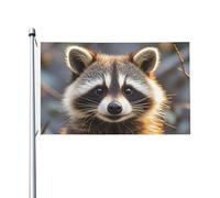 Drapeau de 90 x 152 cm double face pour décoration extérieure, drapeaux drôles de raton laveur, drapeau de jardin lourd 200D, œillets en laiton, bannière extérieure pour les vacances