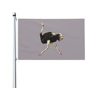 Drapeau de Bienvenue Aquarelle représentant une autruche Bannière pour | Intérieur 3x5 FT Durable Drapeau De La Fierté Amusant Bannière de Cour pour D'Intérieur Patio