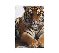 Drapeau de bienvenue Big Tiger - 61 x 91 cm - Double face - Ne se décolore pas - Toile de fond pour photo - Bannière pour cour, porche, pelouse, décoration extérieure