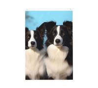 Drapeau de bienvenue Border Collie - 61 x 91 cm - Ne se décolore pas - Double face - Bannière d'extérieur pour cour, porche, pelouse