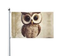 Drapeau de bienvenue en forme de chouette mignonne - 90 x 150 cm - Ne se décolore pas - Double face - Bannière d'extérieur pour cour, porche, pelouse
