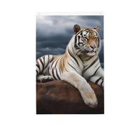 Drapeau de bienvenue en forme de tigre majestueux reposant sur un rocher avec ciel nuageux - 61 x 91 cm - Double face - Ne se décolore pas - Toile de fond pour photo - Bannière pour cour, porche