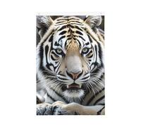 Drapeau de bienvenue en forme de tigre noir et blanc - 61 x 91 cm - Ne se décolore pas - Double face - Bannière d'extérieur pour cour, porche, pelouse