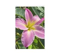 Drapeau de bienvenue Hawaï à fleurs tropicales - 61 x 91 cm - Ne se décolore pas - Double face - Bannière d'extérieur pour cour, porche, pelouse