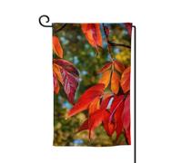 Drapeau de bienvenue imprimé feuilles rouges d'automne pour décoration extérieure pour jardin patio 30,5 x 45,7 cm, plusieurs formes