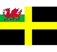 Drapeau De Bienvenue Saint David Avec Le Dragon Rouge Gallois Double Face Bannière Décorative Amusant Drapeaux De Cour Pour Vacances Pelouse Fête 3X5 Ft