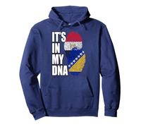 Drapeau de Bosnie et d'Égypte Mélange ADN Heritage Sweat à Capuche