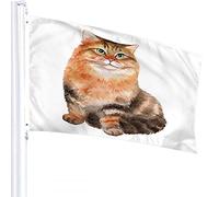 Drapeau de chat 4x6 FT mignon animal petit chat sibérien chaton orange drapeaux extérieurs grand bienvenue cour bannières maison jardin cour pelouse décor