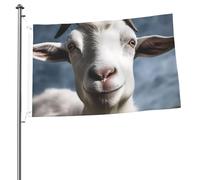 Drapeau de chèvre 6,1 x 0,9 m avec impression double face pour l'extérieur, les vacances, bannière cadeau avec œillets pour décoration intérieure et extérieure