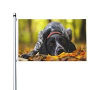 Drapeau de chien Braque allemand à poil court, automne, 152 x 91 cm, avec œillets, en polyester personnalisé