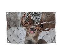 Drapeau de clôture amusant de 0,9 x 1,5 m avec quatre œillets en laiton - Tapisserie murale simple face avec animal - Drapeaux en polyester pour chambre à coucher, université et dortoir