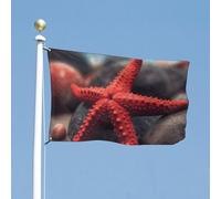 Drapeau de cour double face 119,4 x 177,8 cm - Petite étoile de mer rouge - Drapeau de bienvenue pour l'extérieur - Bannière de vacances avec œillets en laiton - Drapeau de maison pour printemps et