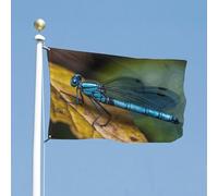 Drapeau de cour double face 61 x 88,9 cm - Beau drapeau de jardin en forme de libellule bleue - Bannière de bienvenue pour l'extérieur des vacances avec œillets en laiton - Drapeau de maison pour