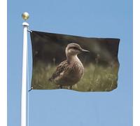 Drapeau de cour double face - 88,9 x 150 cm - Un oiseau debout dans l'herbe - Drapeau de bienvenue pour l'extérieur - Avec œillets en laiton - Grand drapeau d'extérieur pour cour et jardin
