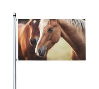 Drapeau de cour double face de 0,9 x 1,5 m pour extérieur/intérieur, adorable cheval, bannière de bienvenue pour jardin, maison, vacances, décoration de la maison, drapeau de jardin