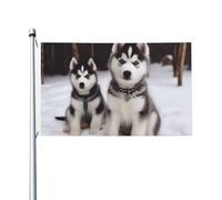 Drapeau de cour double face de 0,9 x 1,5 m pour extérieur/intérieur - Adorable Huskies Welcome - Bannières de cour pour jardin, maison, vacances, décoration d'intérieur