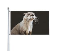 Drapeau de cour double face de 0,9 x 1,5 m pour extérieur/intérieur, bannière de bienvenue pour jardin, maison, vacances, décoration de la maison, drapeau de jardin