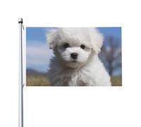 Drapeau de cour double face de 0,9 x 1,5 m pour extérieur/intérieur, bichon frisé, bannière de bienvenue pour jardin, maison, vacances, décoration d'intérieur, drapeau de jardin