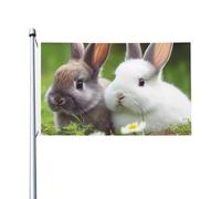 Drapeau de cour double face de 0,9 x 1,5 m pour extérieur/intérieur - Deux petits lapins mignons - Bannières de bienvenue pour jardin, maison, vacances, décoration d'intérieur
