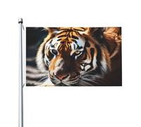 Drapeau de cour double face de 0,9 x 1,5 m pour extérieur/intérieur, drapeau brise, animal sauvage, tigre, bannières de bienvenue pour jardin, maison, vacances, décoration d'intérieur, drapeau de