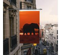 Drapeau de cour double face de 0,9 x 1,5 m pour extérieur/intérieur, drapeau brise, coucher de soleil, éléphant africain, bannière de bienvenue pour jardin, maison, vacances, décoration d'intérieur