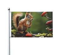 Drapeau de cour double face de 0,9 x 1,5 m pour extérieur/intérieur - Écureuil rouge sur une petite colline verte - Bannières de bienvenue pour jardin, maison, vacances, décoration d'intérieur