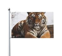 Drapeau de cour double face de 0,9 x 1,5 m pour extérieur/intérieur, grand tigre, bannière de bienvenue pour jardin, maison, vacances, décoration de la maison, drapeau de jardin