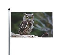 Drapeau de cour double face de 0,9 x 1,5 m pour extérieur/intérieur, hibou sauvage, oiseaux, bannières de bienvenue pour jardin, maison, vacances, décoration d'intérieur, drapeau de jardin