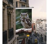 Drapeau de cour double face de 0,9 x 1,5 m pour extérieur/intérieur, hibou sauvage, oiseaux, bannières de bienvenue pour jardin, maison, vacances, décoration d'intérieur, drapeaux de jardin