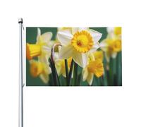 Drapeau de cour double face de 0,9 x 1,5 m pour extérieur/intérieur, jonquille, fleur, bannière de bienvenue pour jardin, maison, vacances, décoration de la maison, drapeau de jardin