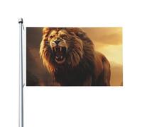 Drapeau de cour double face de 0,9 x 1,5 m pour extérieur/intérieur - Lion rugissant en colère - Bannières de bienvenue pour jardin, maison, vacances, décoration d'intérieur, drapeau de jardin