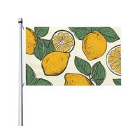 Drapeau de cour double face de 0,9 x 1,5 m pour extérieur/intérieur, motif citron, fruits, bannières de bienvenue pour jardin, maison, vacances, décoration de la maison, drapeau de jardin