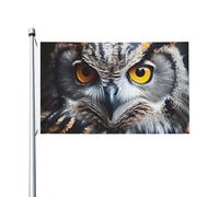 Drapeau de cour double face de 0,9 x 1,5 m pour extérieur/intérieur - Tête de hibou - Portrait de bienvenue - Bannières de cour pour jardin, maison, vacances, décoration d'intérieur