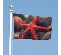 Drapeau de cour double face de 152,4 x 243,8 cm - Petite étoile de mer rouge - Drapeau de bienvenue pour l'extérieur - Bannière de vacances avec œillets en laiton - Drapeau de maison pour printemps et